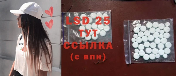 прущие грибы Лагань