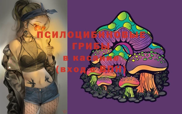 МДПВ Кулебаки
