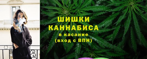 стафф Лабытнанги