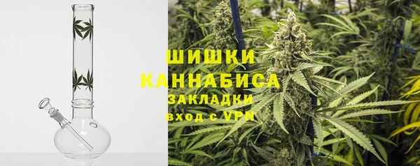 шишки Куйбышев